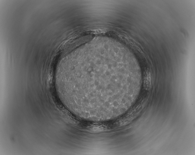 X0000114670608200911121334