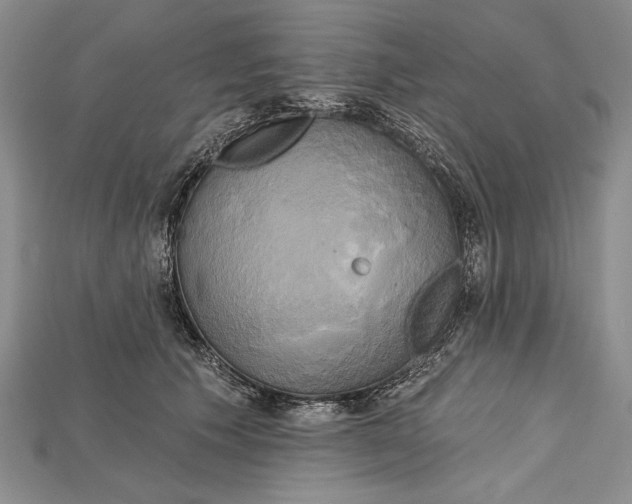 X0000114670609200911121334