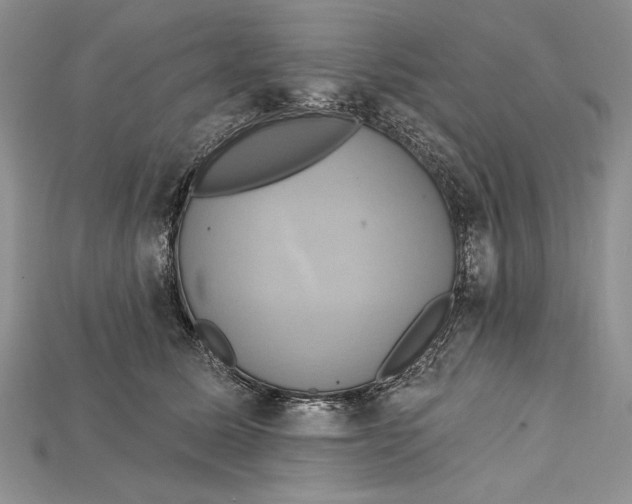 X0000114670611200911121334