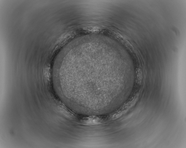 X0000114670612200911121334