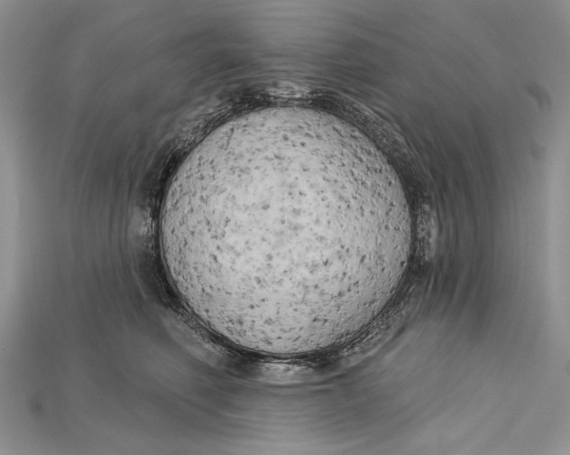 X0000114670614200911121334