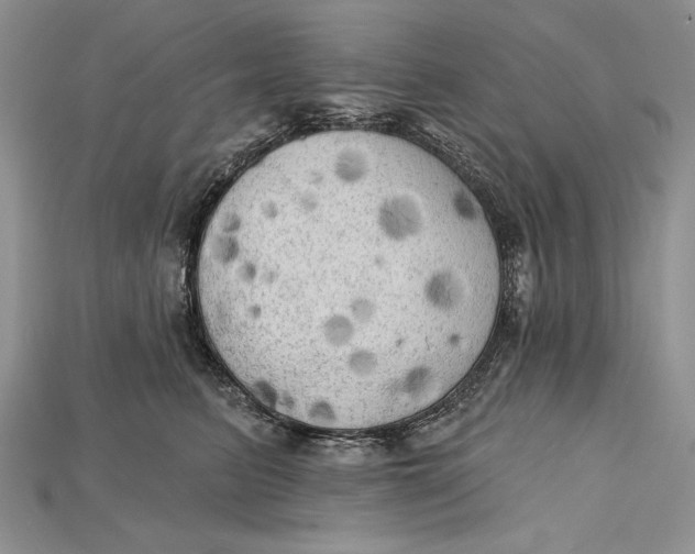 X0000114670615200911121334