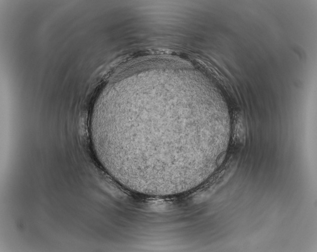 X0000114670616200911121334