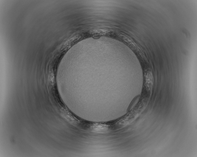 X0000114670617200911121334