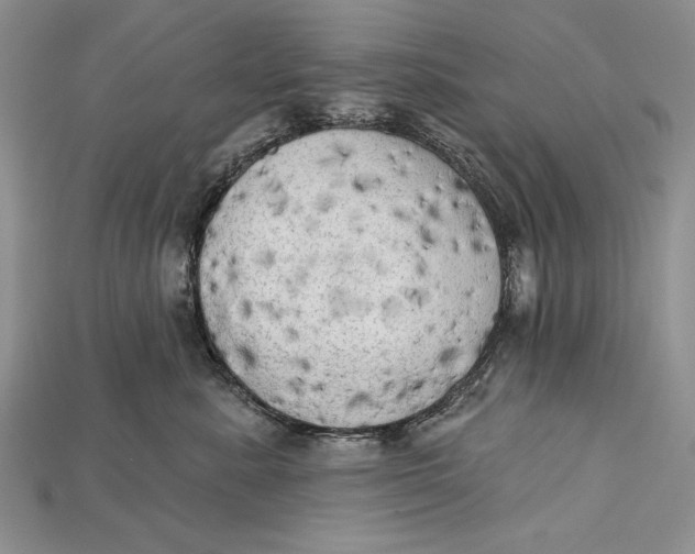 X0000114670619200911121334