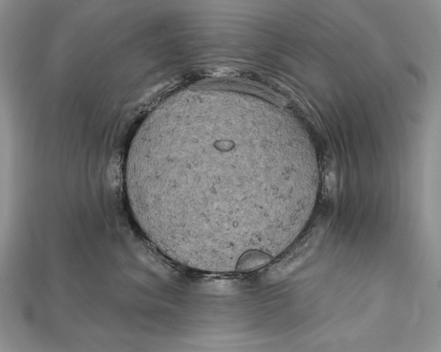 X0000114670620200911121334