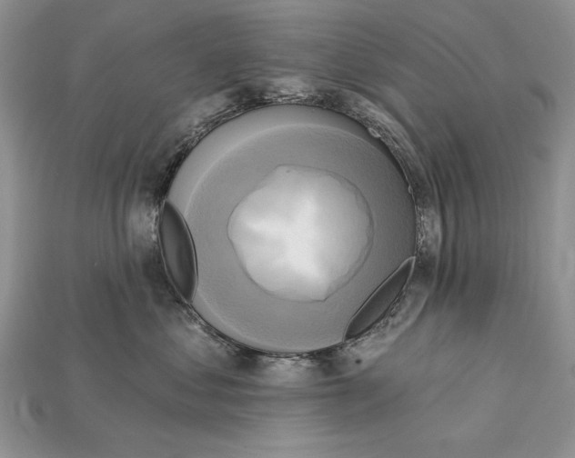 X0000114670621200911121334