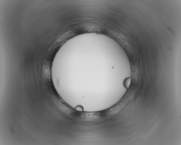 X0000114670622200911121334