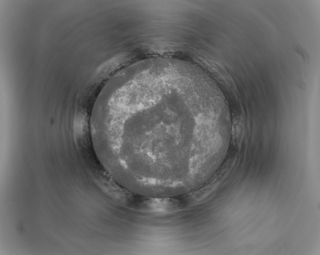 X0000114670623200911121334