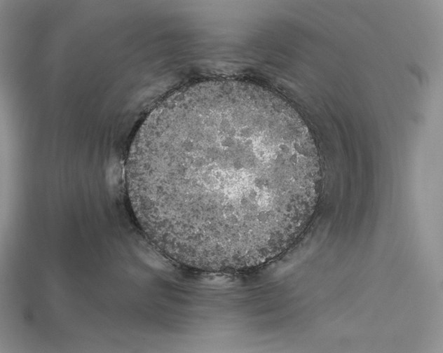 X0000114670624200911121334