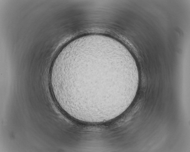 X0000114670625200911121333