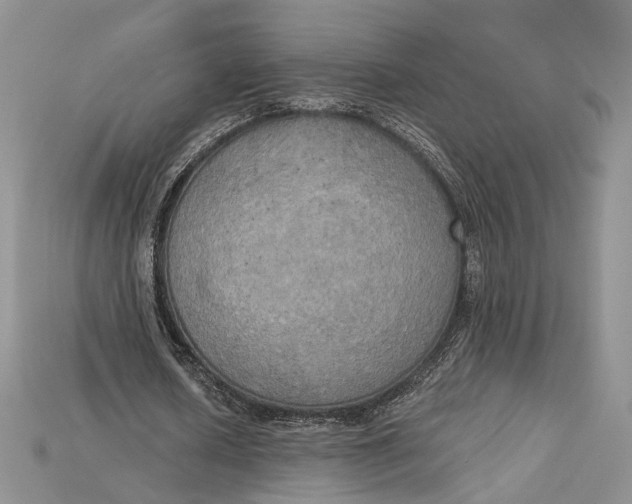 X0000114670626200911121333