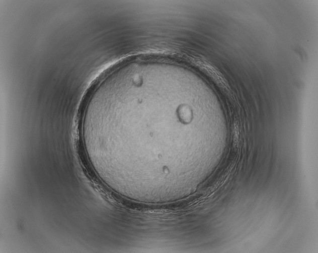 X0000114670628200911121333