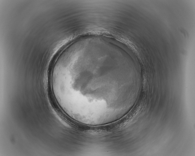 X0000114670630200911121333