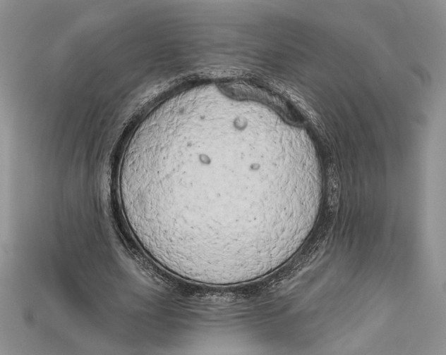 X0000114670631200911121333