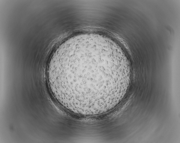 X0000114670633200911121333