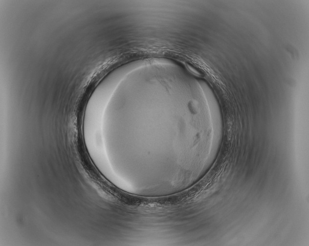 X0000114670634200911121333