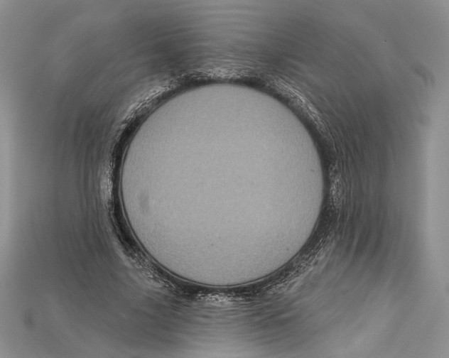 X0000114670635200911121333