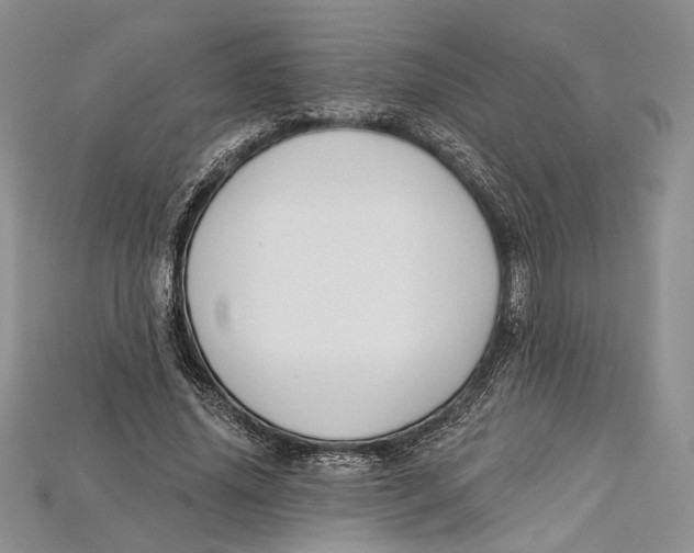 X0000114670636200911121334