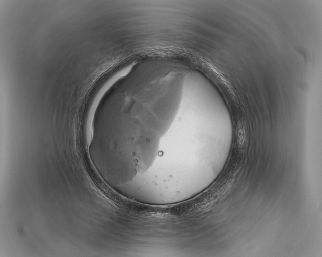 X0000114670637200911121334