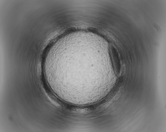 X0000114670638200911121334