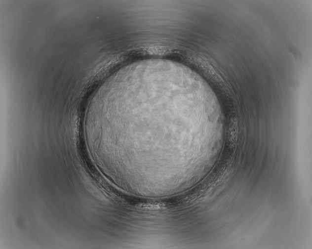 X0000114670639200911121334