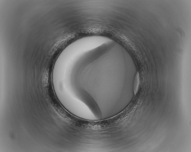 X0000114670640200911121334