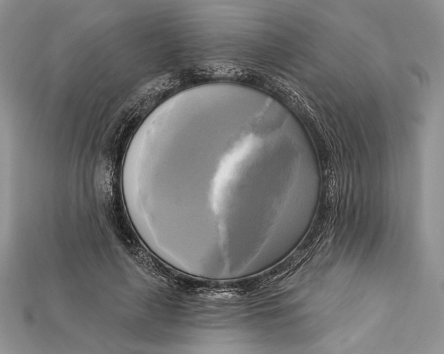 X0000114670643200911121334