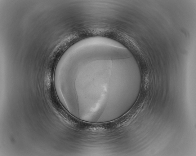 X0000114670644200911121334