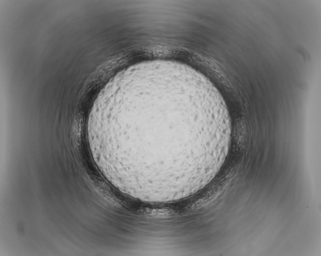 X0000114670645200911121334