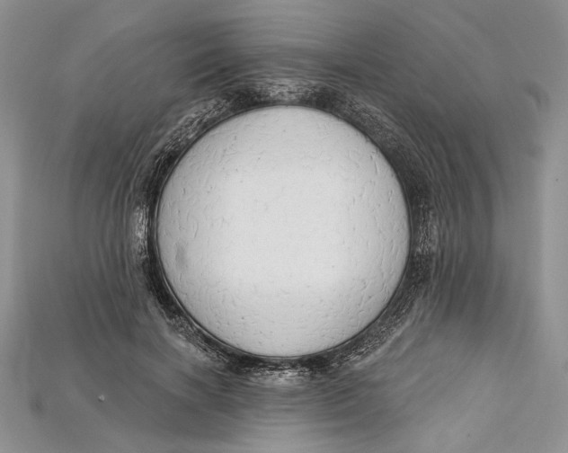 X0000114670646200911121334