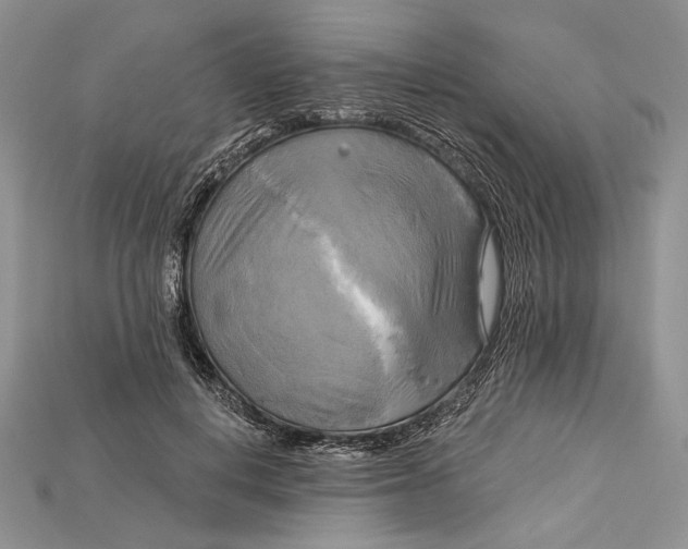 X0000114670648200911121334