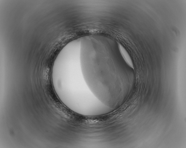 X0000114670650200911121334