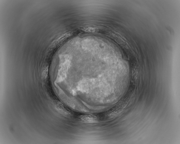 X0000114670652200911121334