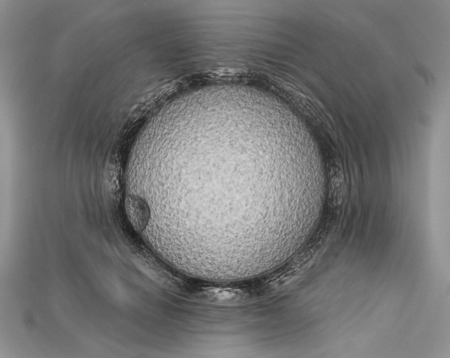 X0000114670654200911121334