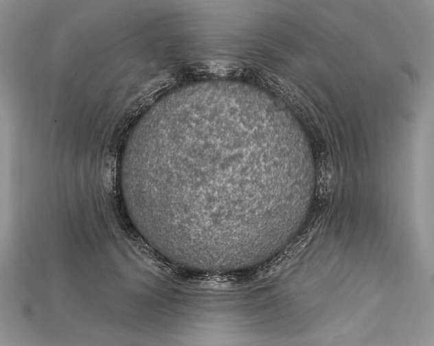 X0000114670656200911121334