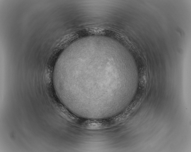 X0000114670658200911121334