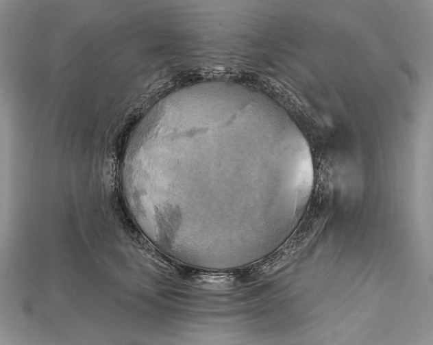 X0000114670659200911121334