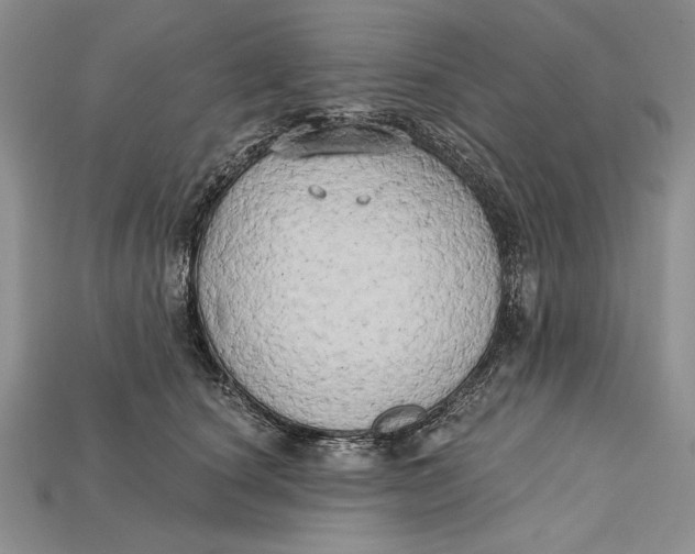 X0000114670660200911121334