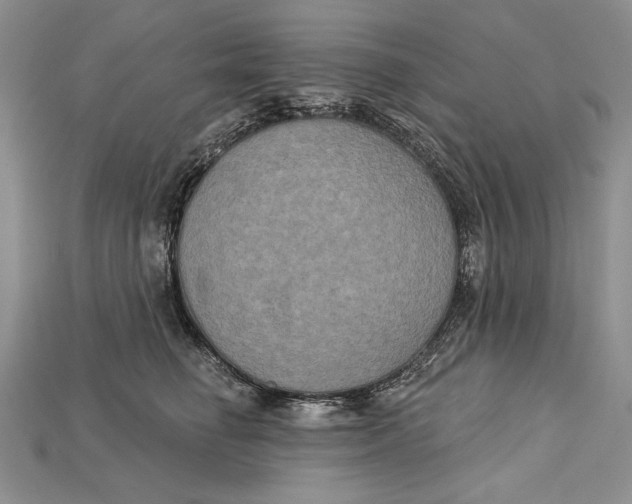 X0000114670662200911121334