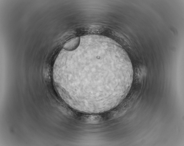 X0000114670663200911121334