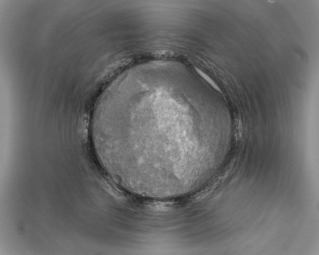 X0000114670664200911121334