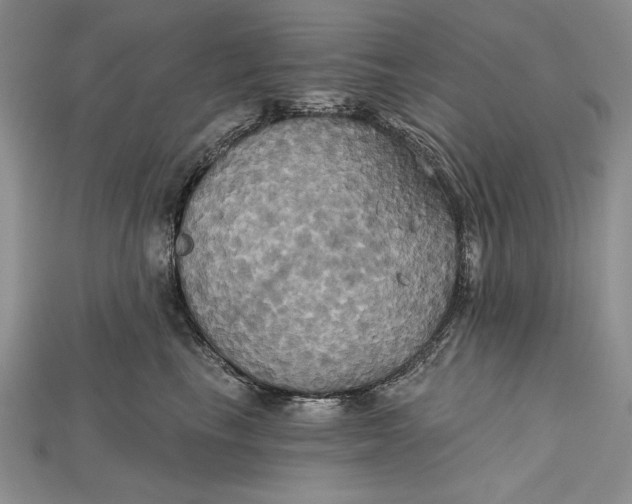 X0000114670665200911121334