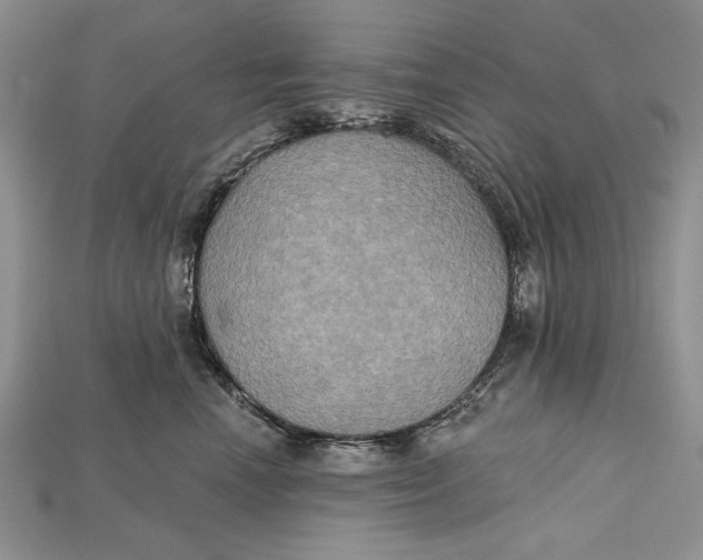 X0000114670666200911121334