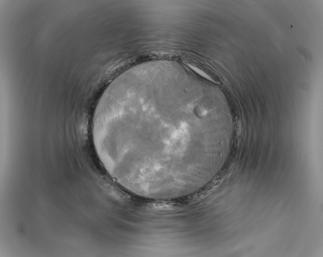 X0000114670668200911121334