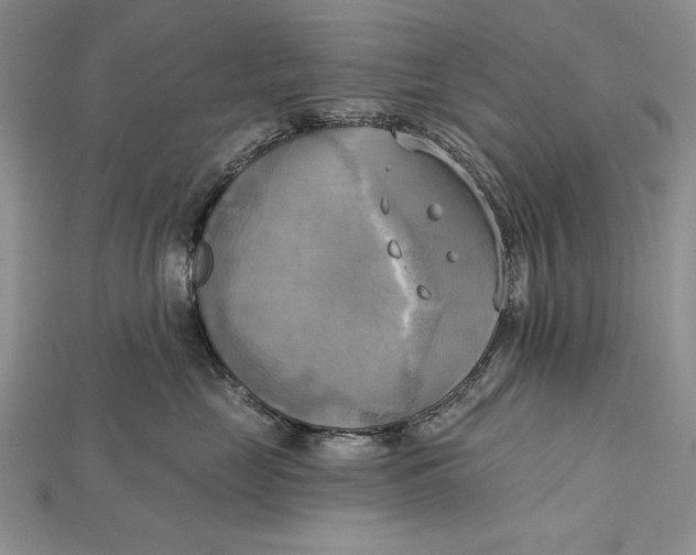 X0000114670669200911121334