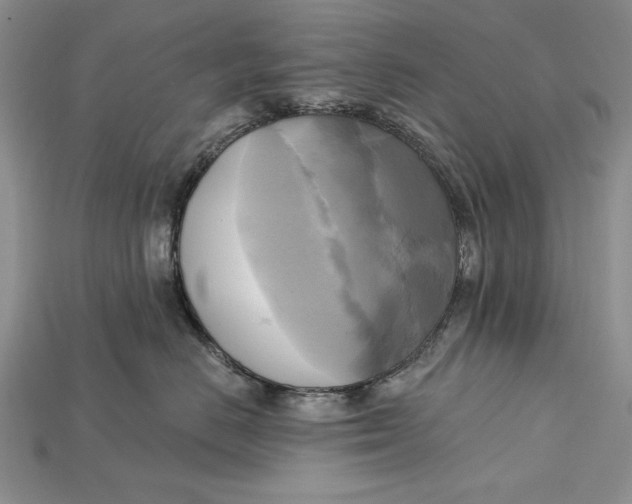 X0000114670670200911121334