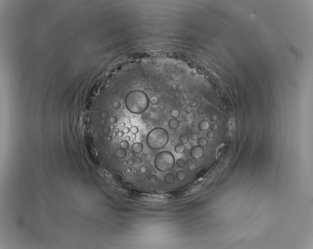 X0000114670671200911121334