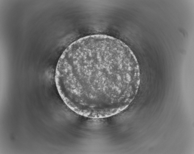 X0000114670672200911121334