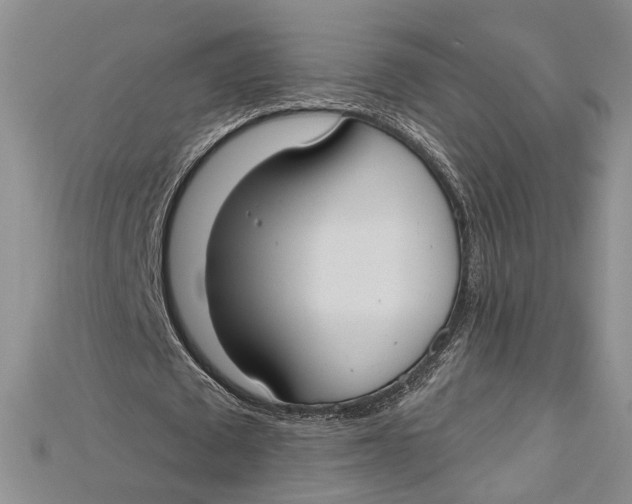 X0000114670673200911121333